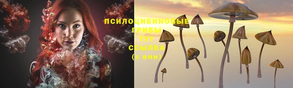 мдпв Богородицк