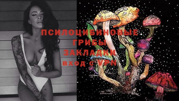 соль ск Богданович