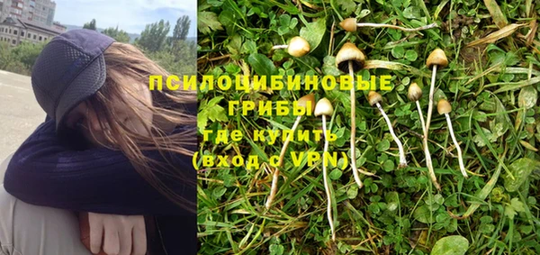 мдпв Богородицк