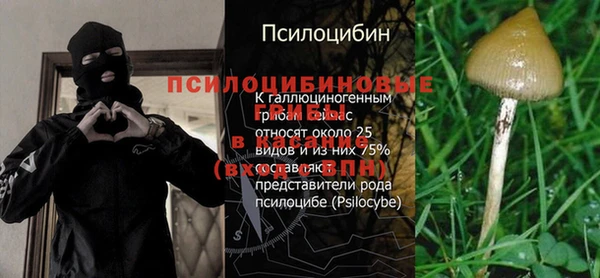 мдпв Богородицк