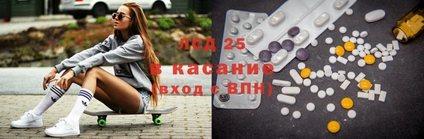 мдпв Богородицк
