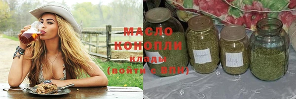 мдпв Богородицк